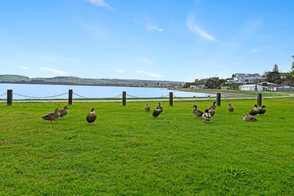Waimahana - Luxury By The Lake Taupo Dış mekan fotoğraf